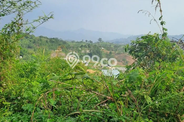 Tanah Kosong Dijual di Bogor dengan Area 10000m2 Tanah Kosong Dijual di Bogor dengan Area 10000m2
