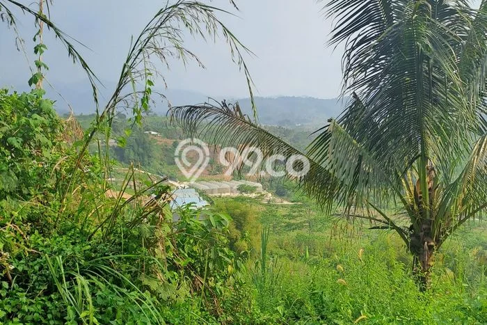 Tanah Kosong Dijual di Bogor dengan Area 10000m2 Tanah Kosong Dijual di Bogor dengan Area 10000m2