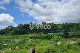 Tanah Dijual Lokasi Cigombong, Bogor Luas 40000m2 Legalitas Aman Tanah Dijual Lokasi Cigombong, Bogor Luas 40000m2 Legalitas Aman
