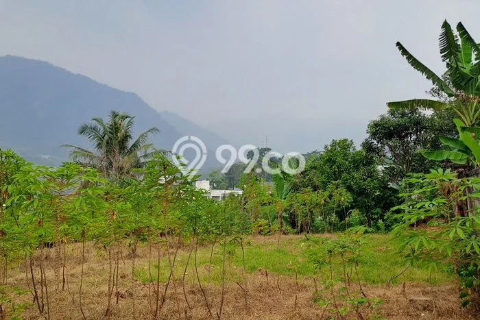 Tanah Kavling Dijual di Sentul City, Bogor dengan Luas Tanah 1900m2 Tanah Kavling Dijual di Sentul City, Bogor dengan Luas Tanah 1900m2