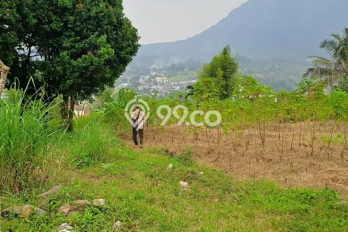 Tanah Kavling Dijual di Sentul City, Bogor dengan Luas Tanah 1900m2 Tanah Kavling Dijual di Sentul City, Bogor dengan Luas Tanah 1900m2