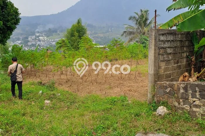 Tanah Kavling Dijual di Sentul City, Bogor dengan Luas Tanah 1900m2 Tanah Kavling Dijual di Sentul City, Bogor dengan Luas Tanah 1900m2