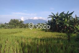 Lahan untuk Dijual di Caringin Bogor Luas 40000m2 Lahan untuk Dijual di Caringin Bogor Luas 40000m2