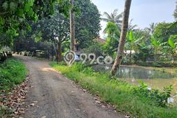 Tanah di Rumpin, Bogor Luas 3800m2 Dijual Segera Tanah di Rumpin, Bogor Luas 3800m2 Dijual Segera