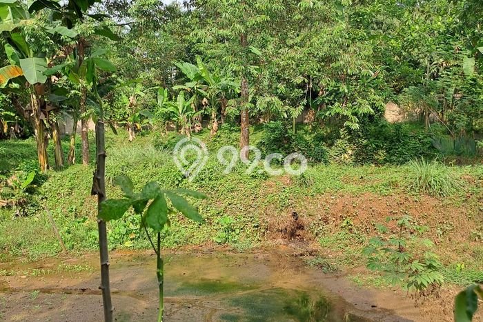 Tanah di Rumpin, Bogor Luas 3800m2 Dijual Segera Tanah di Rumpin, Bogor Luas 3800m2 Dijual Segera