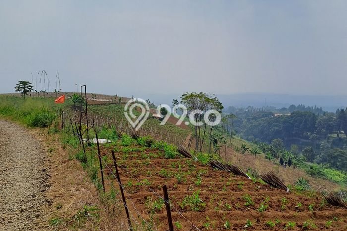 Untuk Dijual Tanah di Caringin Bogor Luas 2000m2 SHM Untuk Dijual Tanah di Caringin Bogor Luas 2000m2 SHM