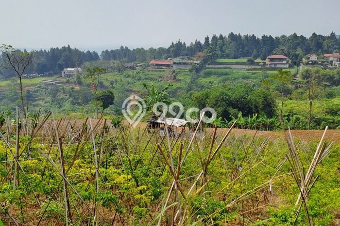 Untuk Dijual Tanah di Caringin Bogor Luas 2000m2 SHM Untuk Dijual Tanah di Caringin Bogor Luas 2000m2 SHM