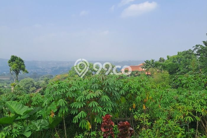 Kavling Tanah Dijual di Sukaraja, Bogor, Luas 18000m2 Area Strategis Kavling Tanah Dijual di Sukaraja, Bogor, Luas 18000m2 Area Strategis