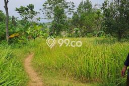 Tanah untuk Dijual Lokasi Cariu, Bogor Luas 18000m2 - Tanah untuk Dijual Lokasi Cariu, Bogor Luas 18000m2 -