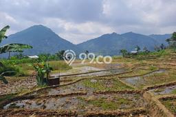 Tanah untuk Dijual di Babakan Madang Bogor Luas 1500m2 Tanah untuk Dijual di Babakan Madang Bogor Luas 1500m2