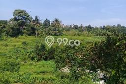 Tanah Kavling Dijual di Cipayung, Bogor dengan Luas Tanah 10000m2 Tanah Kavling Dijual di Cipayung, Bogor dengan Luas Tanah 10000m2