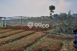 Lahan untuk Dijual Lokasi Sukaraja, Bogor Luas 25000m2 SHM Lahan untuk Dijual Lokasi Sukaraja, Bogor Luas 25000m2 SHM