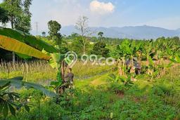 Dijual Tanah 7000m2 di Cipayung, Bogor Dijual Tanah 7000m2 di Cipayung, Bogor