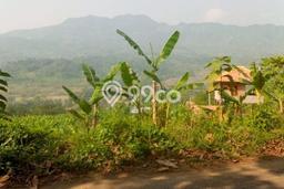 Lahan Investasi Lokasi Tanjungsari Bogor SHM Lahan Investasi Lokasi Tanjungsari Bogor SHM