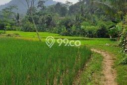 Jarang Ada! Tanah di Rumpin Punya Luas 11000m2 - Jarang Ada! Tanah di Rumpin Punya Luas 11000m2 -