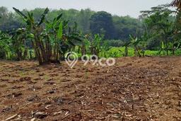 Lahan untuk Dijual Lokasi Rumpin, Bogor Luas 1000m2 - Lahan untuk Dijual Lokasi Rumpin, Bogor Luas 1000m2 -