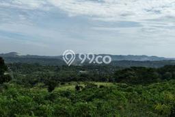 Tanah untuk Dijual di Citeureup Bogor Luas 20000m2 Tanah untuk Dijual di Citeureup Bogor Luas 20000m2