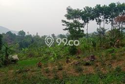 Lahan untuk Dijual Lokasi Sukamakmur, Bogor Luas 20000m2 SHM Lahan untuk Dijual Lokasi Sukamakmur, Bogor Luas 20000m2 SHM