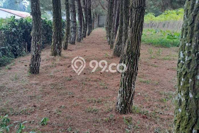 Dijual Tanah Kawasan Sukaraja, Luas 9000m², Kawasan Nyaman Dijual Tanah Kawasan Sukaraja, Luas 9000m², Kawasan Nyaman