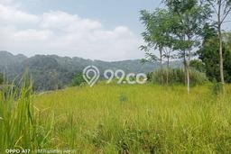 Jarang Ada! Tanah di Babakan Madang Punya Luas 10000m2 SHM Jarang Ada! Tanah di Babakan Madang Punya Luas 10000m2 SHM