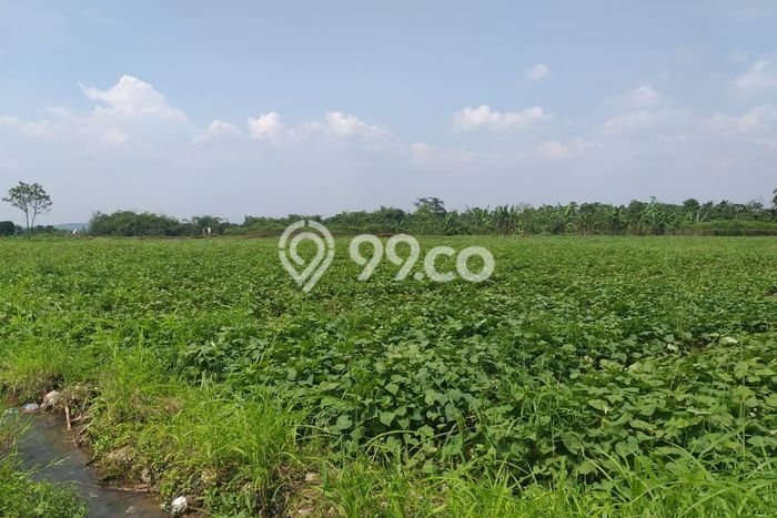 Kavling Tanah Dijual di Ciampea Bogor Spesifikasi 35000m2 Kavling Tanah Dijual di Ciampea Bogor Spesifikasi 35000m2