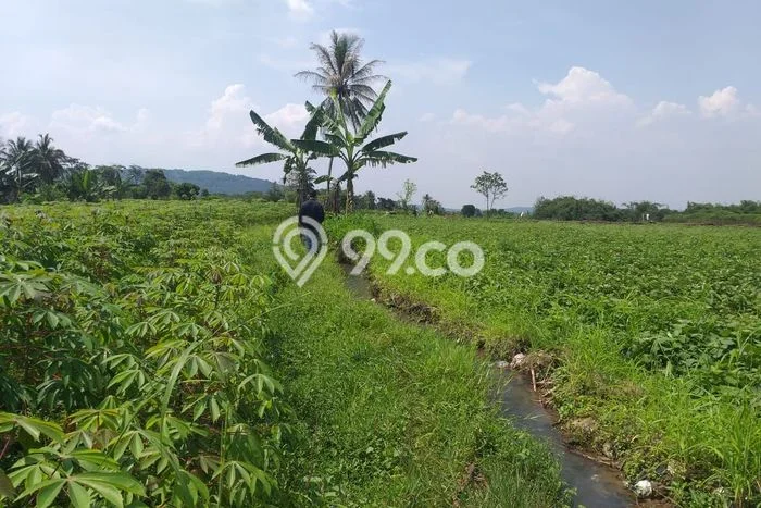 Kavling Tanah Dijual di Ciampea Bogor Spesifikasi 35000m2 Kavling Tanah Dijual di Ciampea Bogor Spesifikasi 35000m2