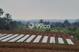 Jarang Ada! Tanah di Ciawi Punya Luas 5000m2 - Jarang Ada! Tanah di Ciawi Punya Luas 5000m2 -
