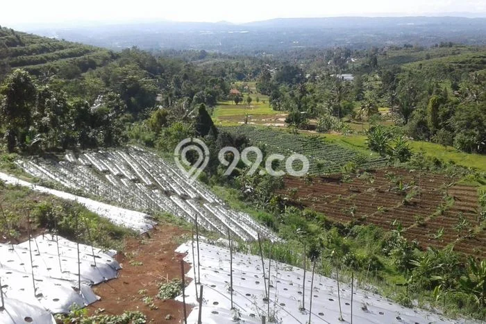Tanah Dijual Lokasi Parakan Salak, Sukabumi Luas 110000m2 Legalitas Aman Tanah Dijual Lokasi Parakan Salak, Sukabumi Luas 110000m2 Legalitas Aman