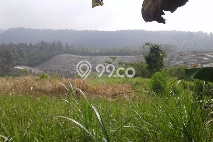 Tanah Dijual Lokasi Parakan Salak, Sukabumi Luas 110000m2 Legalitas Aman Tanah Dijual Lokasi Parakan Salak, Sukabumi Luas 110000m2 Legalitas Aman