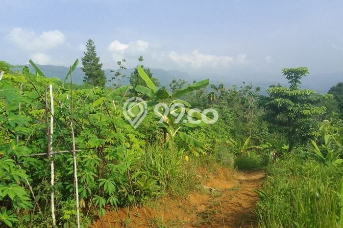 Lahan Kosong Dijual di Cianjur dengan Area 350000m2 Lahan Kosong Dijual di Cianjur dengan Area 350000m2