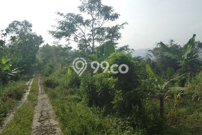Lahan Kosong Dijual di Cianjur dengan Area 350000m2 Lahan Kosong Dijual di Cianjur dengan Area 350000m2