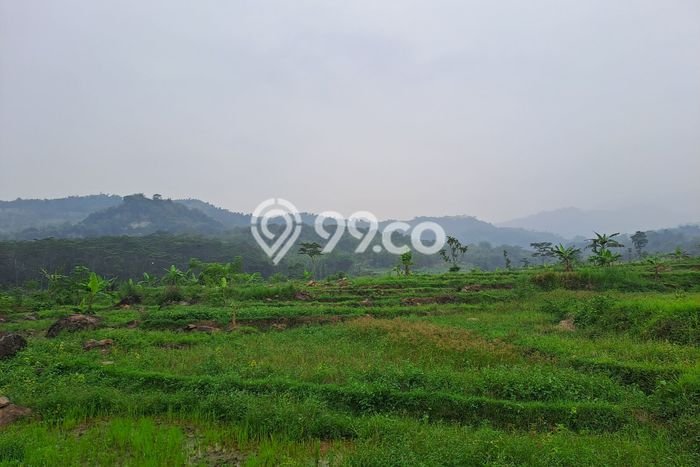 Kavling Tanah di Sukamakmur Dijual Luas 500000m2 Legalitas SHM Kavling Tanah di Sukamakmur Dijual Luas 500000m2 Legalitas SHM