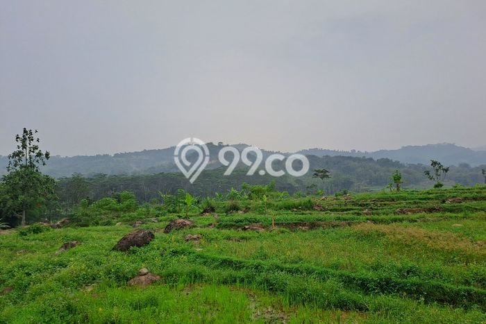 Kavling Tanah di Sukamakmur Dijual Luas 500000m2 Legalitas SHM Kavling Tanah di Sukamakmur Dijual Luas 500000m2 Legalitas SHM