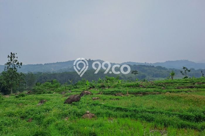 Kavling Tanah di Sukamakmur Dijual Luas 500000m2 Legalitas SHM Kavling Tanah di Sukamakmur Dijual Luas 500000m2 Legalitas SHM