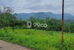 Jarang Ada! Tanah di Leuwisadeng Punya Luas 120000m2 SHM Jarang Ada! Tanah di Leuwisadeng Punya Luas 120000m2 SHM