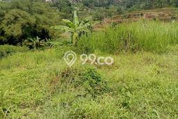 Tanah Kavling untuk Dijual di Megamendung Bogor 2500m2 Tanah Kavling untuk Dijual di Megamendung Bogor 2500m2