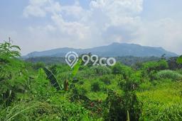 Tanah Kavling untuk Dijual di Nanggung Bogor 40000m2 Tanah Kavling untuk Dijual di Nanggung Bogor 40000m2