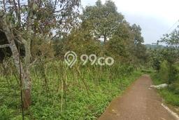 Tanah Strategis Dijual di Cianjur Cianjur 85000m2 Tanah Strategis Dijual di Cianjur Cianjur 85000m2