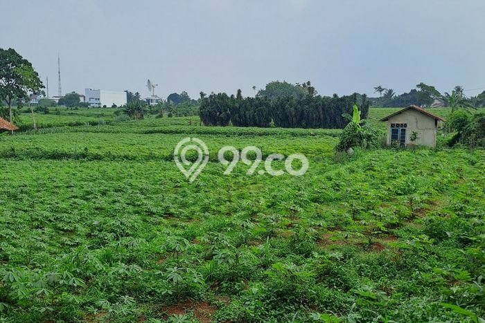Tanah Kavling untuk Dijual di Ranca Bungur Bogor 50000m2 Tanah Kavling untuk Dijual di Ranca Bungur Bogor 50000m2