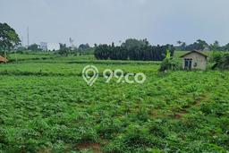 Tanah Kavling untuk Dijual di Ranca Bungur Bogor 50000m2 Tanah Kavling untuk Dijual di Ranca Bungur Bogor 50000m2