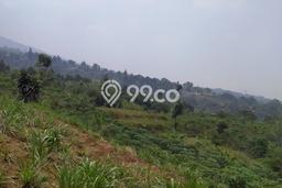 Kavling Tanah Dijual di Cigombong Bogor Spesifikasi 31000m2 Kavling Tanah Dijual di Cigombong Bogor Spesifikasi 31000m2