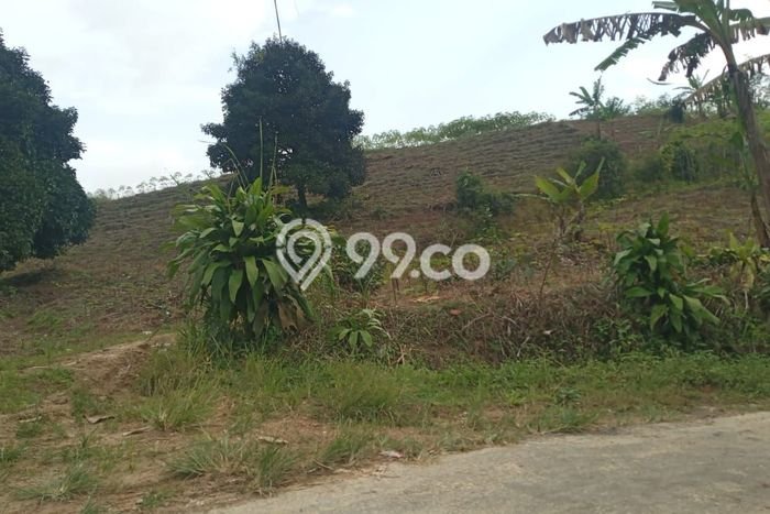 For Sale Tanah di Cikembar, Luas 50000m², Area Potensial For Sale Tanah di Cikembar, Luas 50000m², Area Potensial