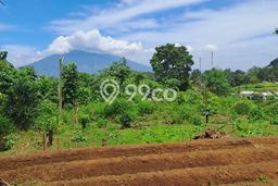 Tanah Kavling untuk Dijual di Megamendung Bogor 9000m2 Tanah Kavling untuk Dijual di Megamendung Bogor 9000m2