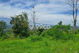 Lahan Strategis di Megamendung Dijual dengan Luas 10200m2 Lahan Strategis di Megamendung Dijual dengan Luas 10200m2
