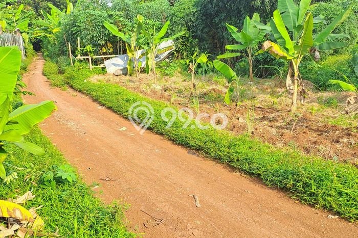 Jual Tanah Area Prospektif di Babakan Madang, Luas 1500m², Akses Babakan Madang, Bogor, Bogor Jual Tanah Area Prospektif di Babakan Madang, Luas 1500m², Akses Babakan Madang, Bogor, Bogor