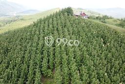 Tanah Strategis Dijual di Warung Kiara Sukabumi 620000m2 Tanah Strategis Dijual di Warung Kiara Sukabumi 620000m2