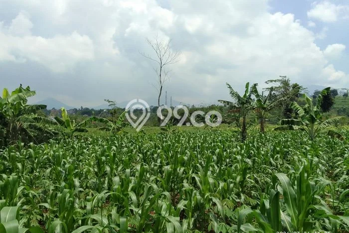 Tanah Kavling untuk Dijual di Nagrak Sukabumi 40000m2 Tanah Kavling untuk Dijual di Nagrak Sukabumi 40000m2