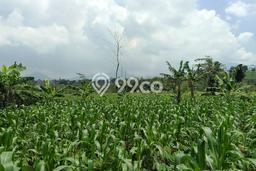 Tanah Kavling untuk Dijual di Nagrak Sukabumi 40000m2 Tanah Kavling untuk Dijual di Nagrak Sukabumi 40000m2