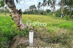 Kavling Tanah Dijual di Carita Pandeglang Spesifikasi 43800m2 Kavling Tanah Dijual di Carita Pandeglang Spesifikasi 43800m2