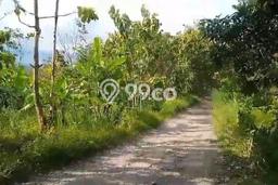 Tanah Area Berkembang di Bantargadung, Luas 1.1e+06m2m², Dekat ke Fasilitas Umum, Akses Bantargadung, Sukabumi, Sukabumi Tanah Area Berkembang di Bantargadung, Luas 1.1e+06m2m², Dekat ke Fasilitas Umum, Akses Bantargadung, Sukabumi, Sukabumi